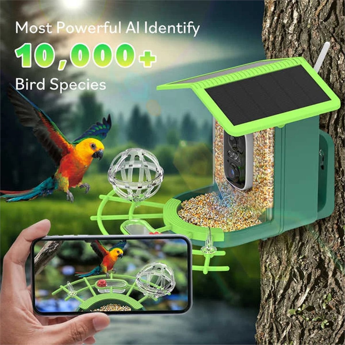 ABPP Smart Bird Feeder Camera  - Power Tools Video recension och pris